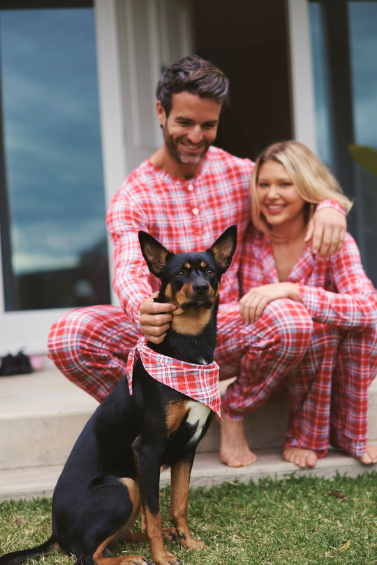 Pet Bandana - RED PLAID