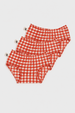 Kids Undies - RED GINGHAM