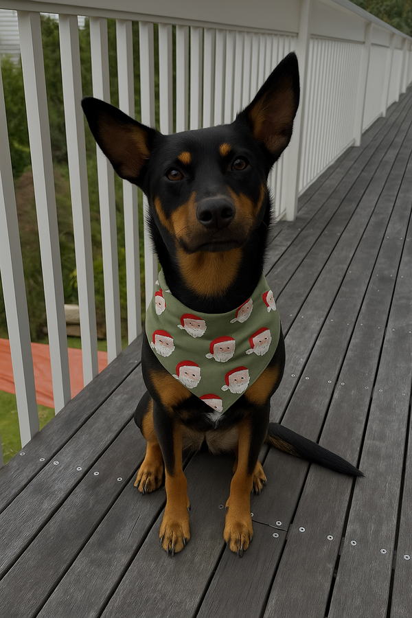 Pet Bandana - SANTA