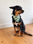 Pet Bandana - EVERGREEN CHECK
