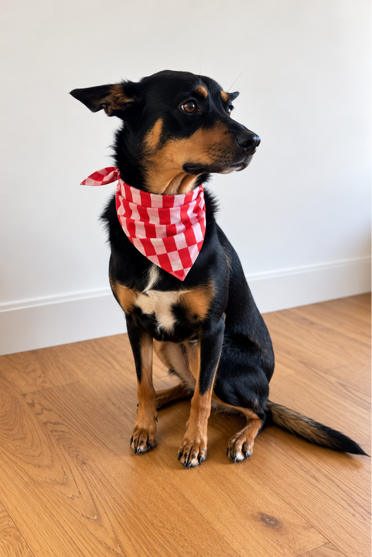 Pet Bandana - CANDY CANE CHECK