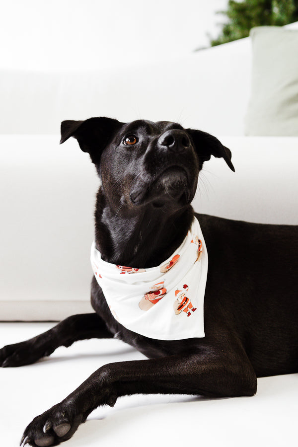 Pet Bandana - SANTA