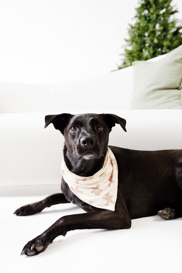 AU Pet Bandana - GINGERBREAD