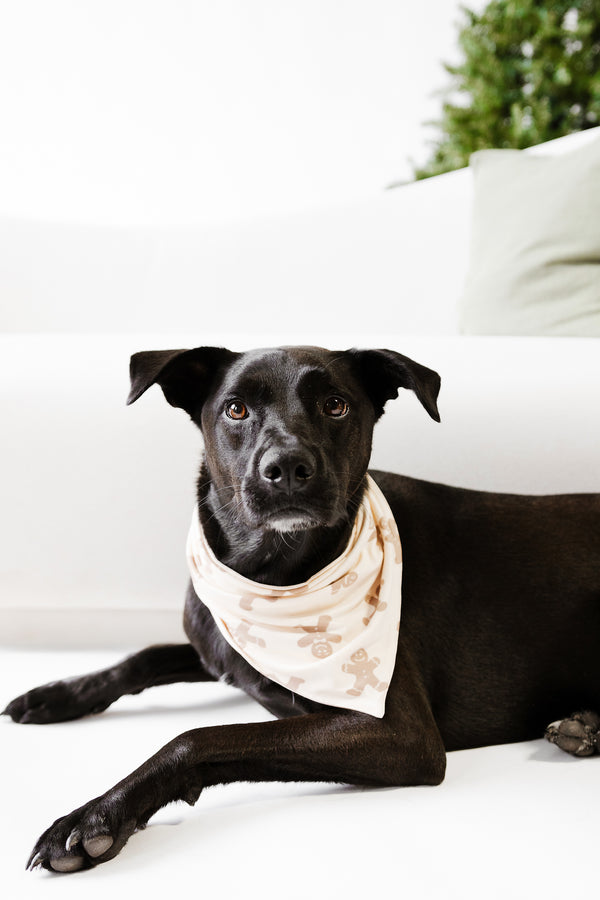 AU Pet Bandana - GINGERBREAD