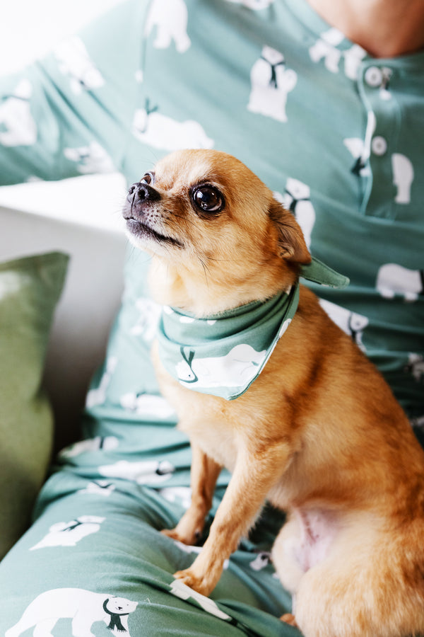 Pet Bandana - POLAR BEAR