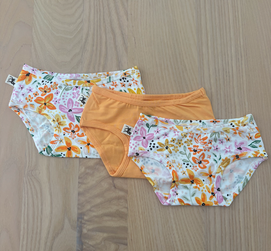 Kids Undies - 2 Fresh Bloom 1 Creamsicle - 3 Pack